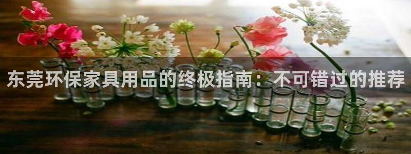 杏耀代理1980：东莞环保家具用品的终极指南：不可错过的推荐