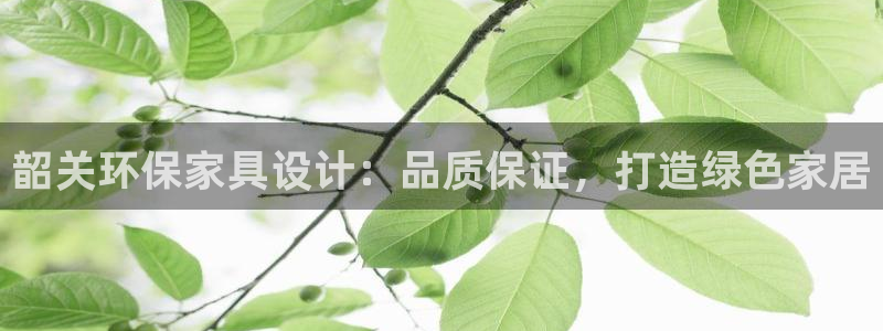 杏耀平台招商的流程：韶关环保家具设计：品质保证，打造绿色家居